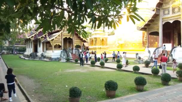 清迈泰国 2018年12月8日 游客在清迈泰国寺庙散步 — 图库视频影像