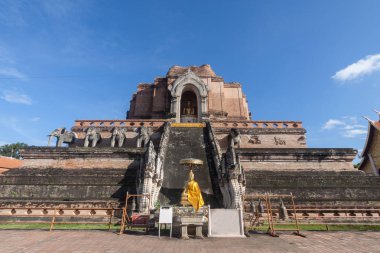 Chiang Mai Wat Chedi Luang tapınağında Pagoda ve buda heykeli