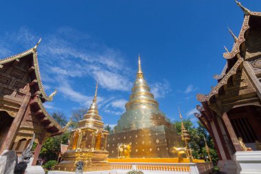 Chiang Mai Wat Phra Singh Budist tapınağı, Tayland.