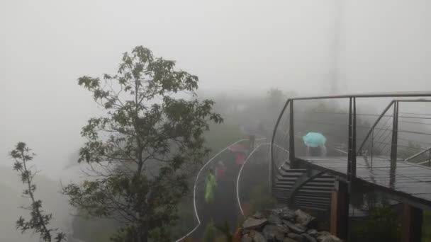 Turist Med Paraply Vandringsresa Äventyr Natur Regnskogen — Stockvideo