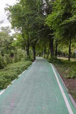 Taze yeşil bisiklet yolu parkta.