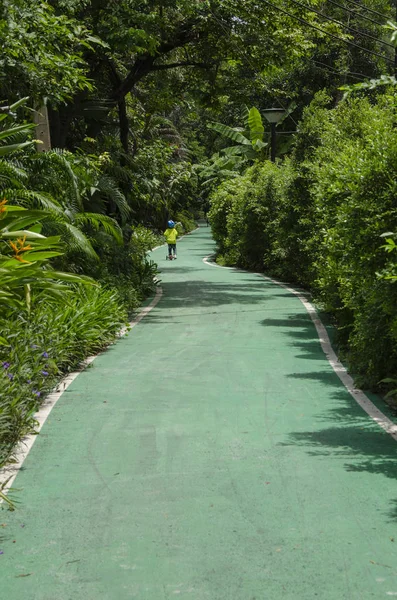 Camino Bicicleta Verde Fresco Parque — Foto de Stock
