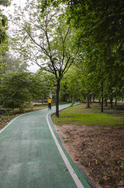 Fresh Green Bicycle Path Way Park — Stock Photo, Image