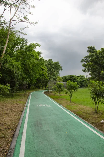 Camino Bicicleta Verde Fresco Parque — Foto de Stock