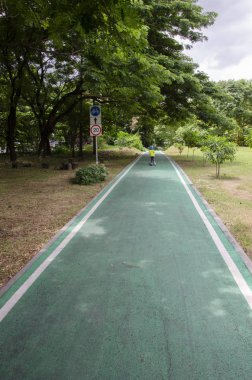 Taze yeşil bisiklet yolu parkta.