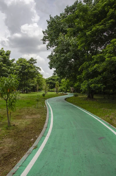 Camino Bicicleta Verde Fresco Parque — Foto de Stock