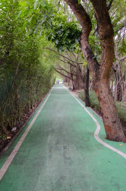 Taze yeşil bisiklet yolu parkta.