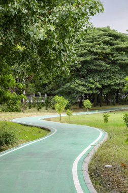 Parkta boş yeşil bisiklet yolu