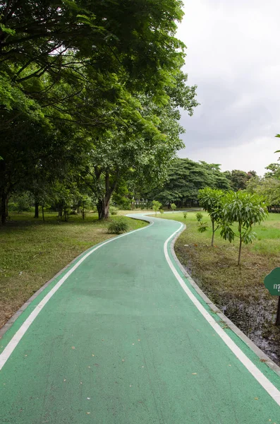 Camino Bicicleta Verde Vacío Parque — Foto de Stock