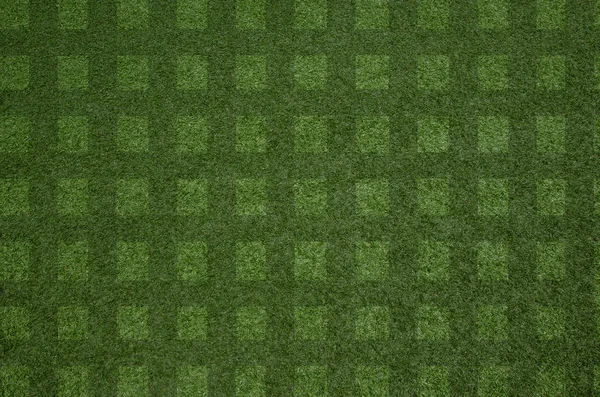 closeup fresh green grass texture pattern background for footbal