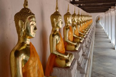 Altın Budist sürüsü tapınakta oturuyor.