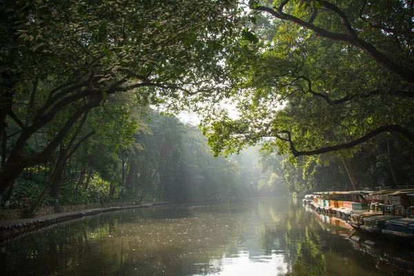 Πρωί Στο Πάρκο Λίμνη Στο Πάρκο Της Πόλης Guangzhou Κίνα — Φωτογραφία Αρχείου