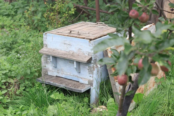 Rustieke Bijenkorf Tuin Met Open Deksel Geen Bijen Buurt Van — Stockfoto