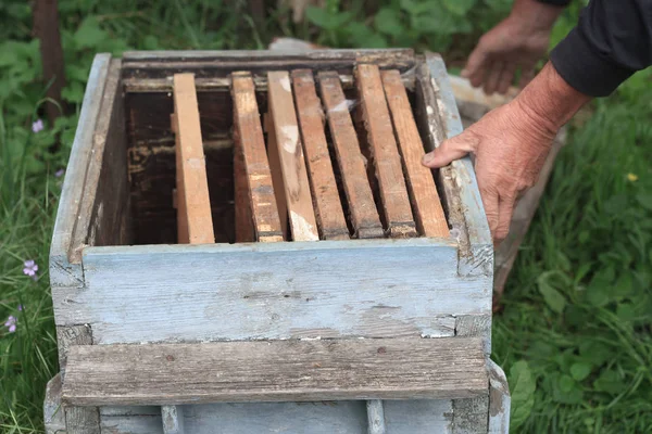 Een Ervaren Imker Inspecteert Een Oude Lege Bijenkorf Met Frames — Stockfoto