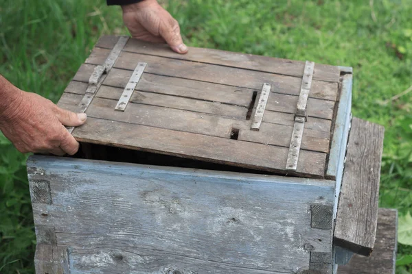 Опытные Руки Пчеловода Закрывающие Крышку Старого Пчелиного Улья Близкого Расстояния — стоковое фото