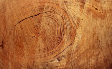 Ham ahşap yakın çekim görünümü, kahverengi dokulu arka plan, kesilmiş bir kütüğün kesiti kaba kesim