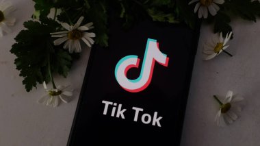 İnternette popüler bir sosyal ağ olan TIK TOK logosuna sahip akıllı telefon. ABD, Kanada, 27 Kasım 2020