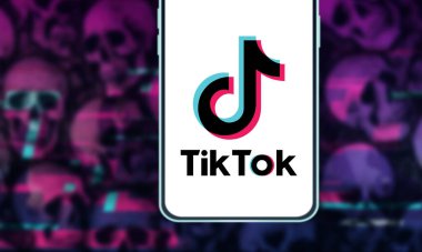 İnternette popüler bir sosyal ağ olan TIK TOK logosuna sahip akıllı telefon. ABD, Kanada, 27 Kasım 2020