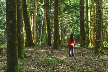 Güvenilir bir ormanda yolu olmayan bir kadın. Ormanda kayboldum..