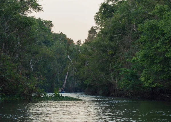サバ州キナバタンガン川 ボルネオマレーシア — ストック写真