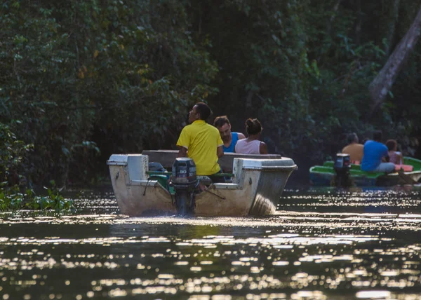 Kinabatangan Malezya Aralık 2019 Kinabatangan Nehri Boyunca Bir Tekne Gezisindeki — Stok fotoğraf