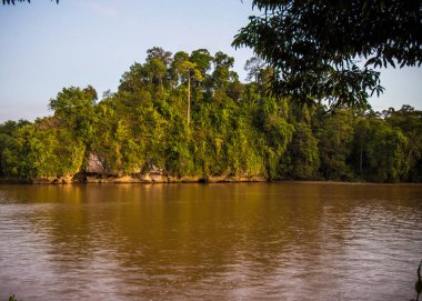 Tropik bir yağmur ormanının içinden geçen koyu kahverengi bir nehir..