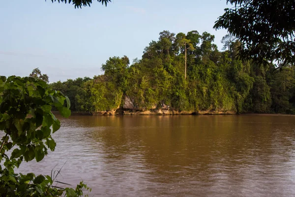 Une Épaisse Rivière Brune Traversant Une Forêt Tropicale Humide — Photo