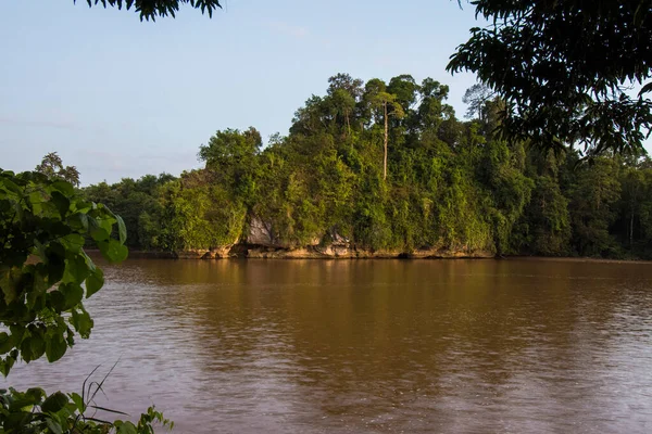 Une Épaisse Rivière Brune Traversant Une Forêt Tropicale Humide — Photo