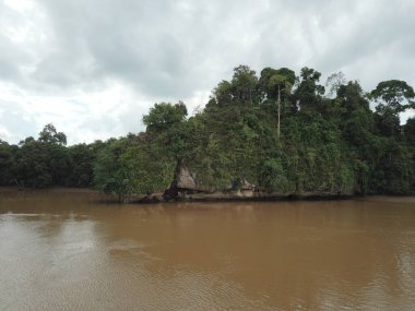 Ox Bow Gölü, Kinabatangan Borneo