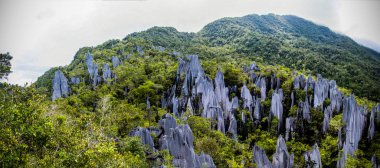 Gunung Mulu Ulusal Parkı 'nda zirveler. Borneo. Malasya.