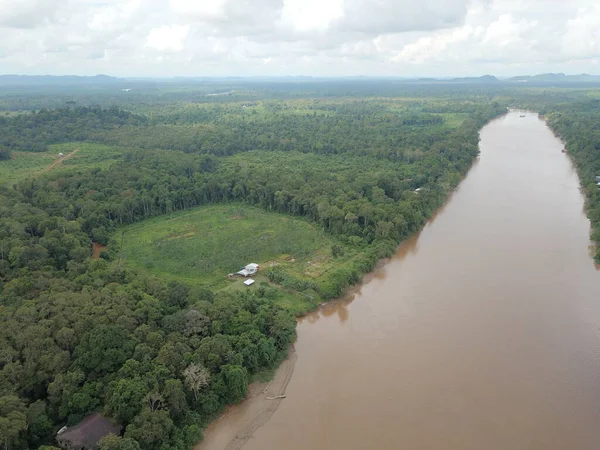 Bow Gölü Kinabatangan Borneo — Stok fotoğraf