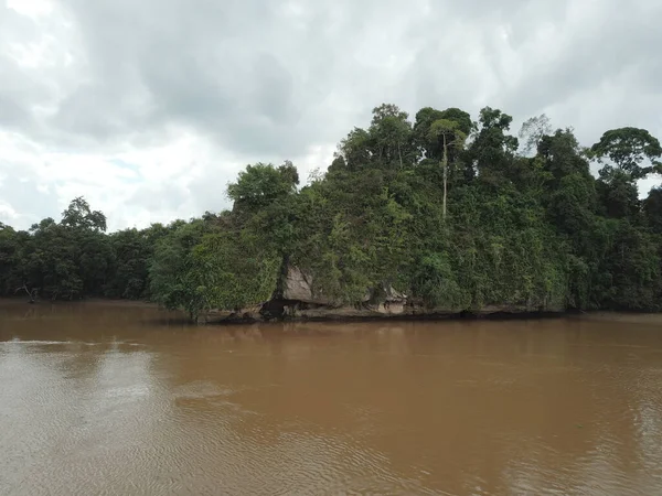 Kinabatangan Borneo Bow湖 — 图库照片