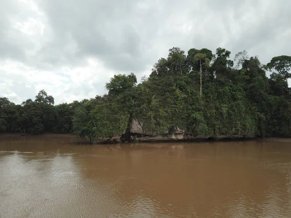 Ochsenbogensee Kinabatangan Borneo — Stockfoto