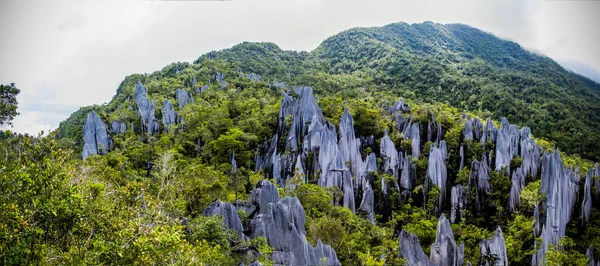 Gunung Mulu Ulusal Parkı 'nda zirveler. Borneo. Malasya.
