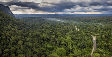 Exotic rainforest landscape from gunung mulu national park borneo malaysia. clipart