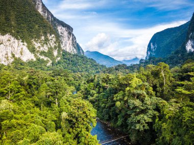 Gunung Mulu Ulusal Parkı Borneo Malezya 'dan egzotik yağmur ormanları.