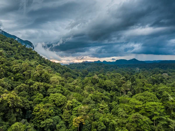 Gunung Mulu国家公园的奇异热带雨林景观 — 图库照片
