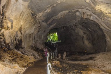 Gunung Mulu, Sarawak, Borneo-Ocak 2019: Temiz su, Mulu Milli Parkı.