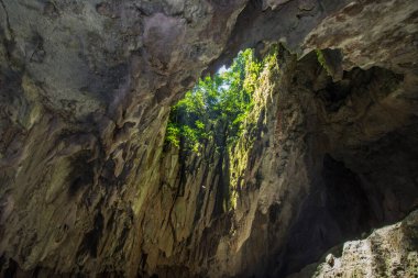 Temiz Su Mağarası Mulu Sarawak Malezya