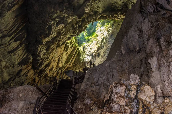 Caverna Água Limpa Mulu Sarawak Malásia — Fotografia de Stock