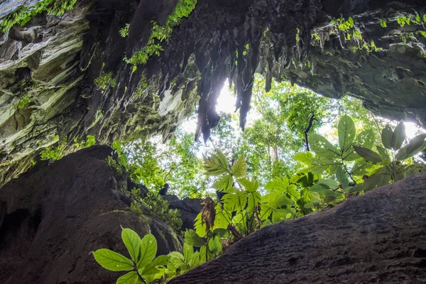 Cueva Agua Clara Mulu Sarawak Malasia — Foto de Stock