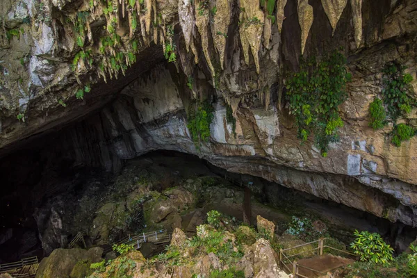Temiz Su Mağarası Mulu Sarawak Malezya