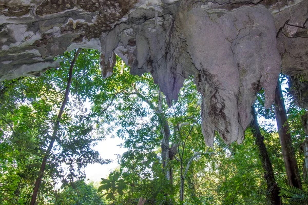 Cuevas Parque Nacional Mulu Sarawak Borneo — Foto de Stock