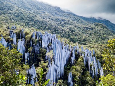 Gunung Mulu Ulusal Parkı 'nda zirveler. Borneo. Malasya.