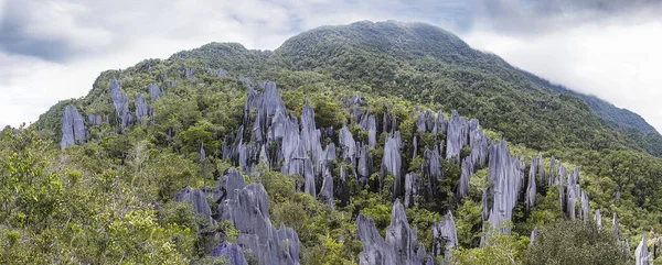 Gunung Mulu Ulusal Parkı 'nda zirveler. Borneo. Malasya.
