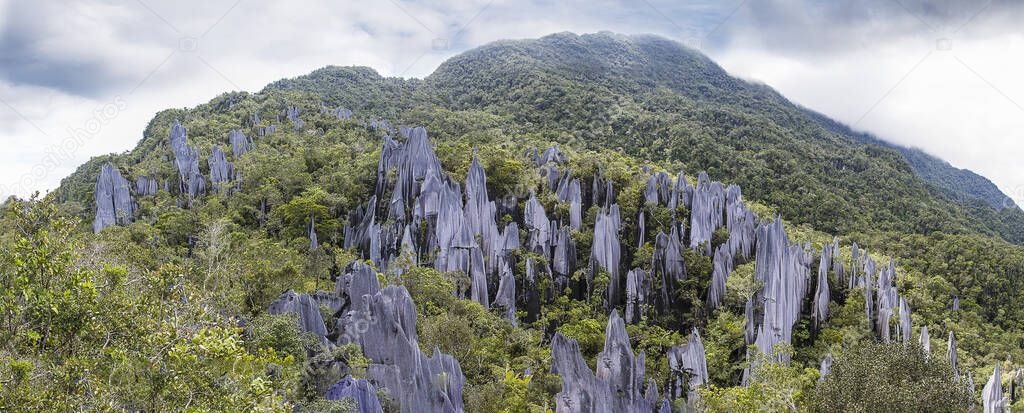 Pinnacles in Gunung Mulu National Park. Borneo. Malasia.