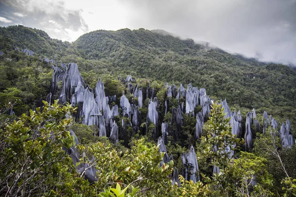 Gunung Mulu Ulusal Parkı 'nda zirveler. Borneo. Malasya.