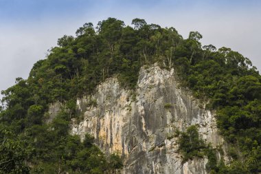 Geyik Mağarası Cliff Mulu Ulusal Parkı Borneo