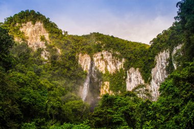 Geyik Mağarası Cliff Mulu Ulusal Parkı Borneo