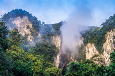 Geyik Mağarası Cliff Mulu Ulusal Parkı Borneo